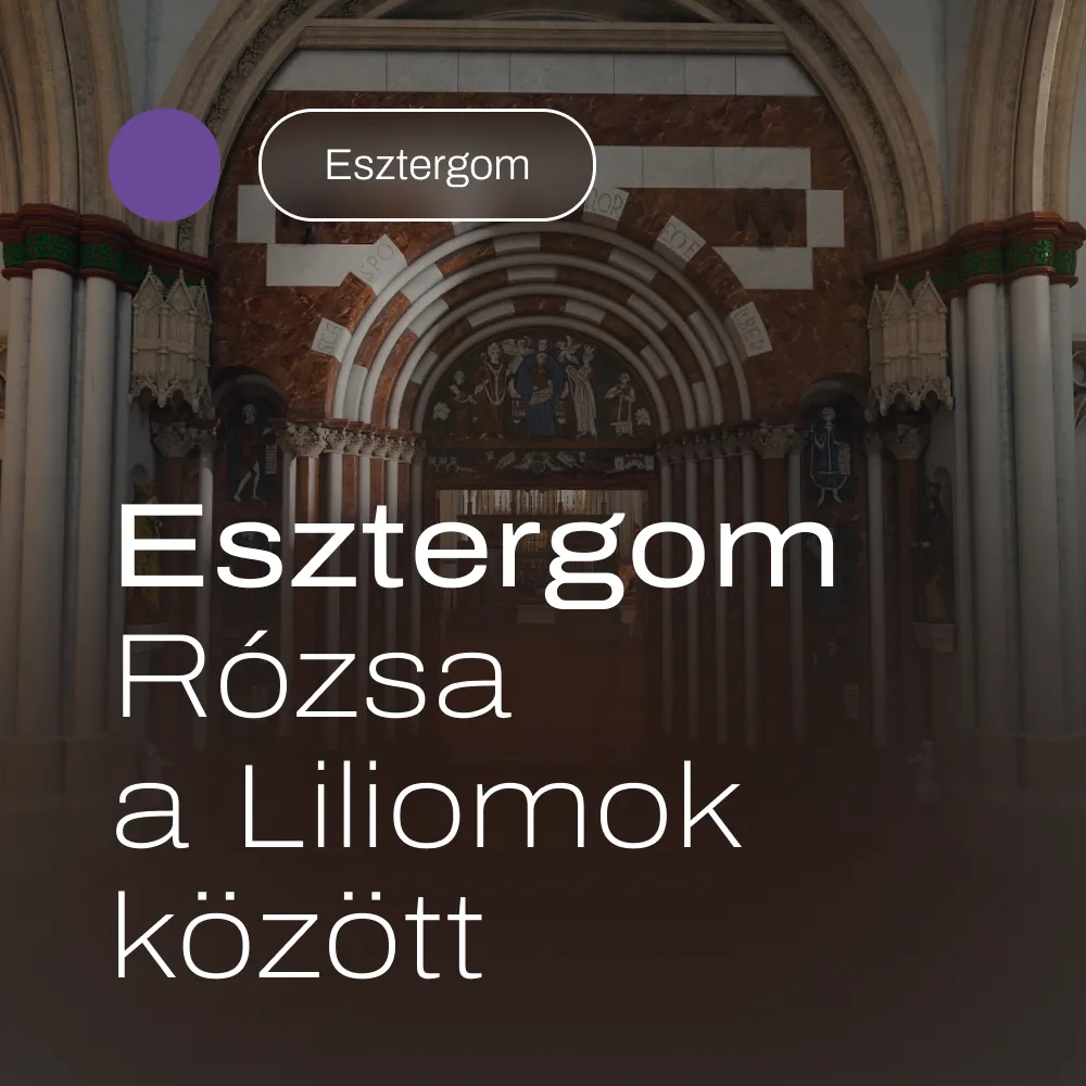 Esztergom – Rózsa a Liliomok között