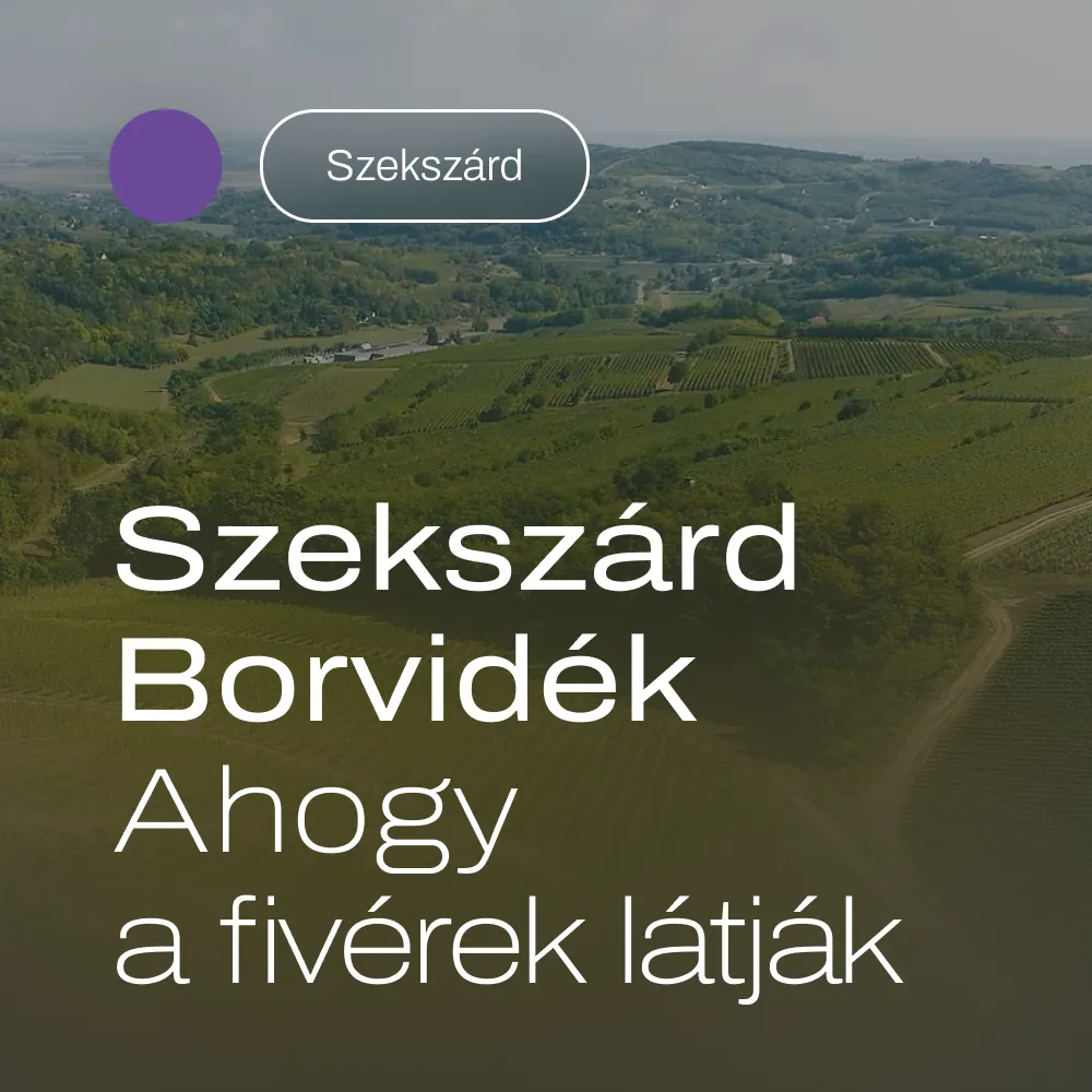 Szekszárd Borvidék – Ahogy a fivérek látják