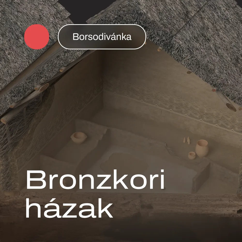 Bronzkori házak